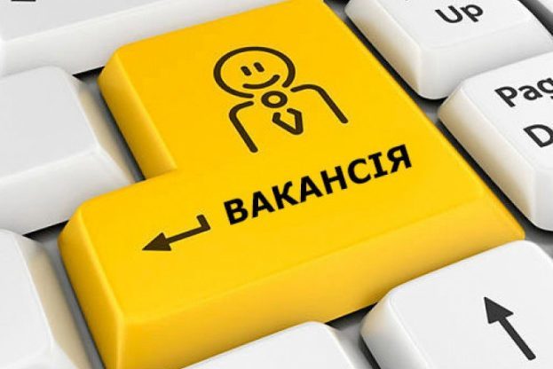 Гнідинський ліцей імені Петра Яцика запрошує на роботу вчителя початкових класів, асистента вчителя з інклюзивного навчання, вихователя групи подовженого дня.